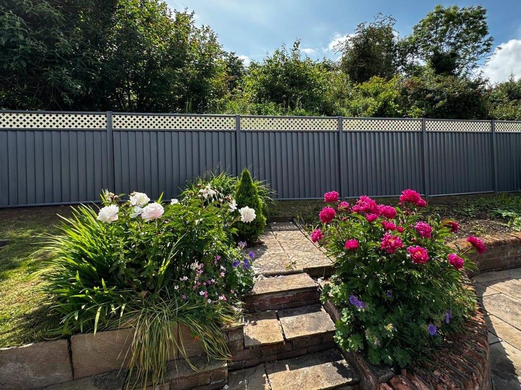Grey metal fencing manufactured from Colorbond steel with a white lattice top, beside peony beds and sandstone steps