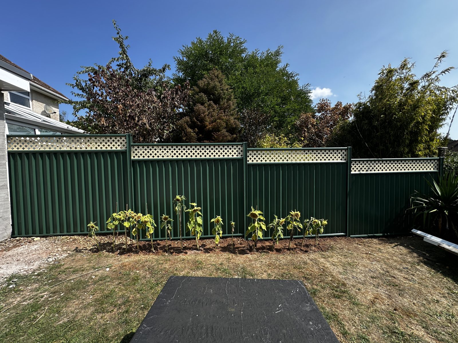 Green metal fencing with a slatted top behind a planted border