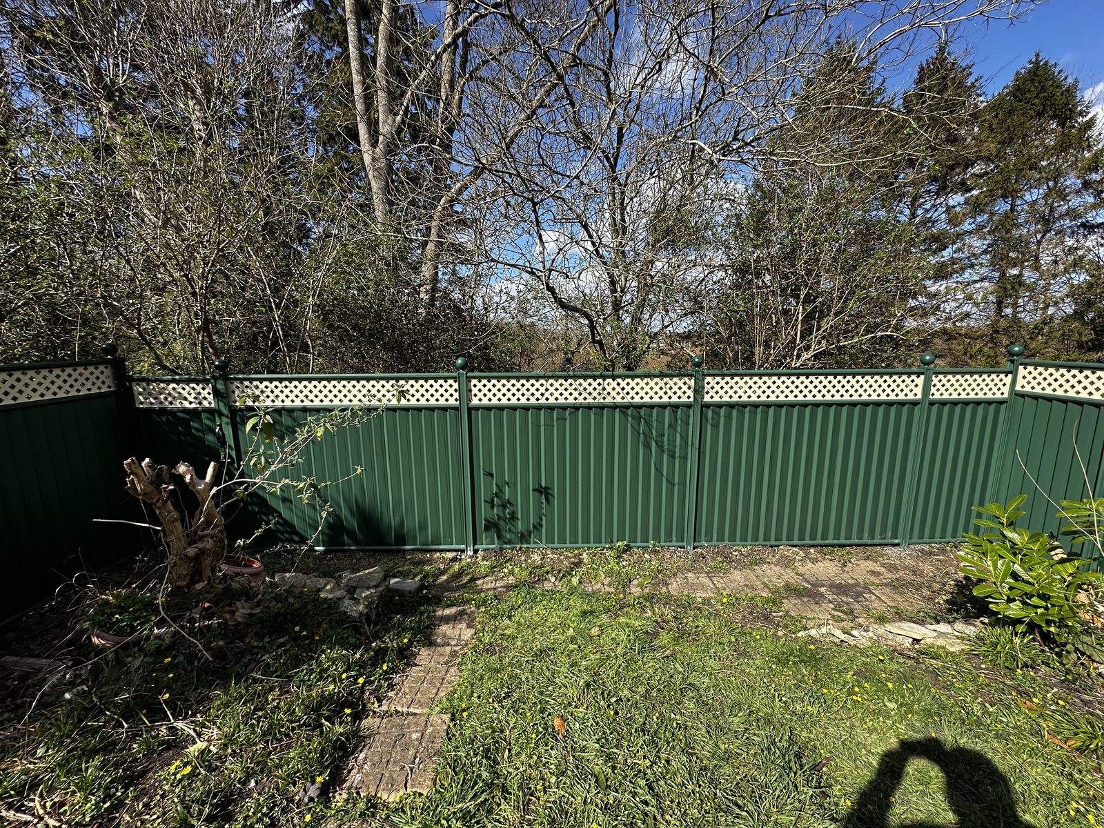 Green metal fencing around a lawn with trees behind