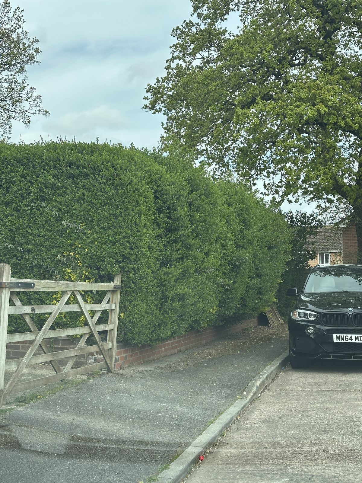 Before: an old timber fence on a low brick wall
