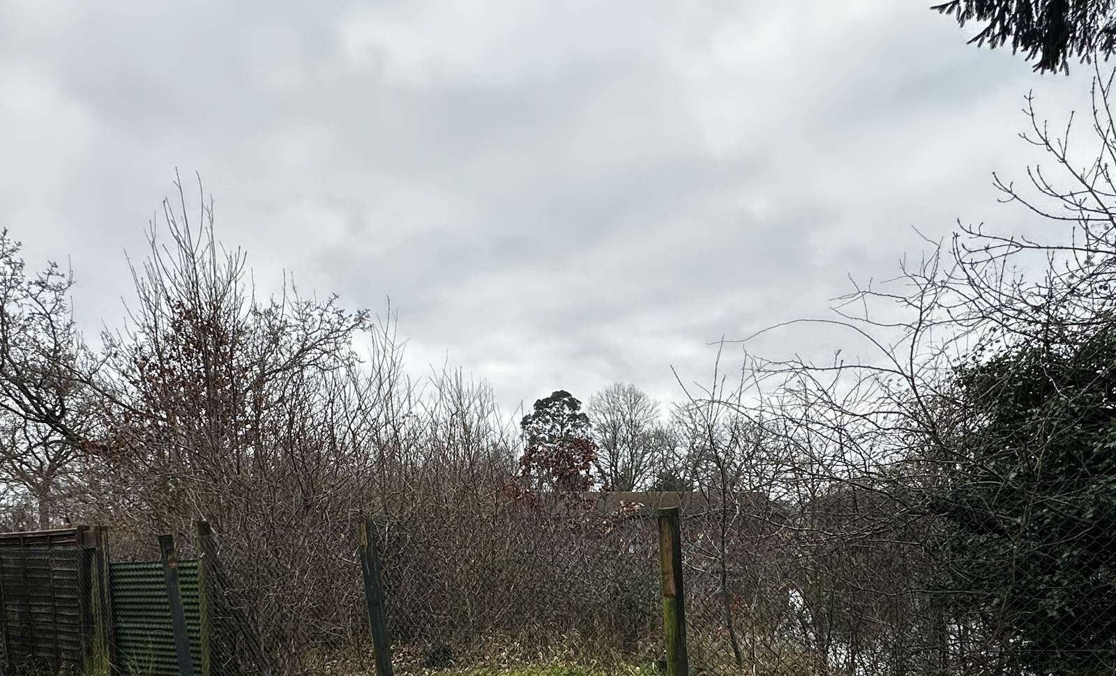 Ageing chain-link boundary before replacement.