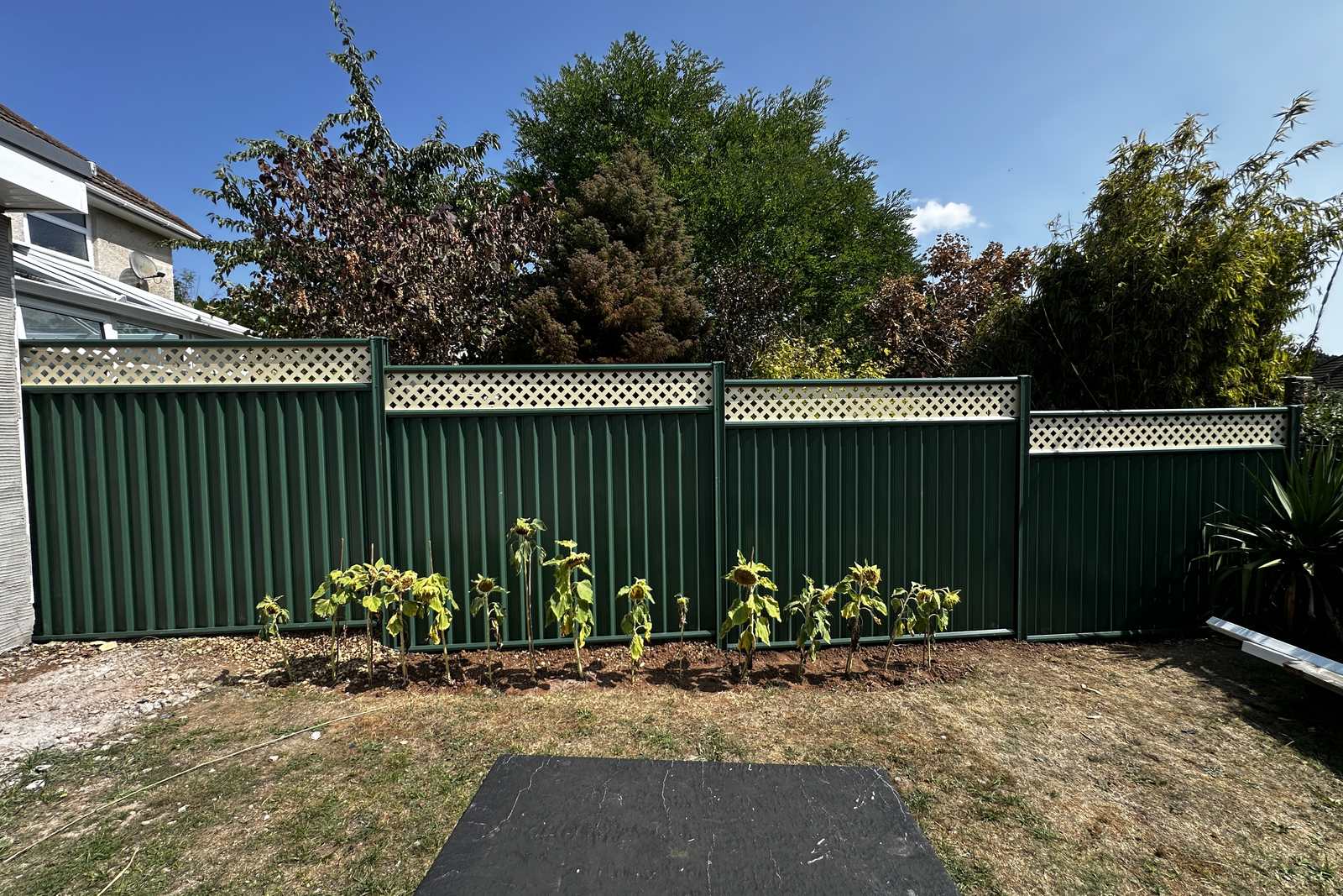 Green metal fencing in a landscaped garden.