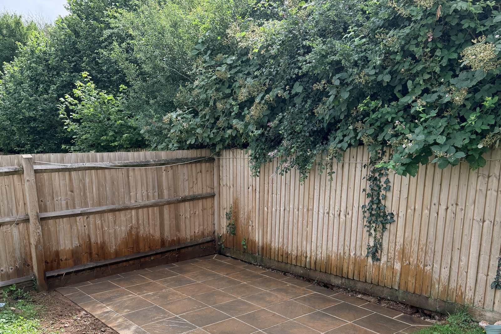 Paving laid on a prepared base with neat jointing.